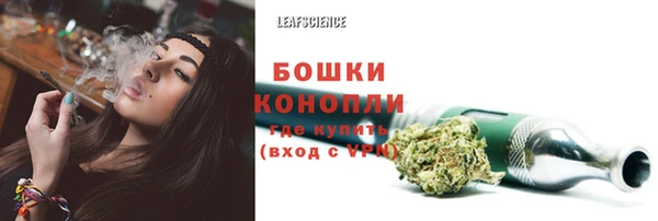 эйфоретик Новокубанск