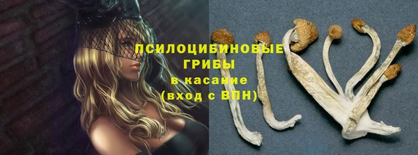 эйфоретик Новокубанск
