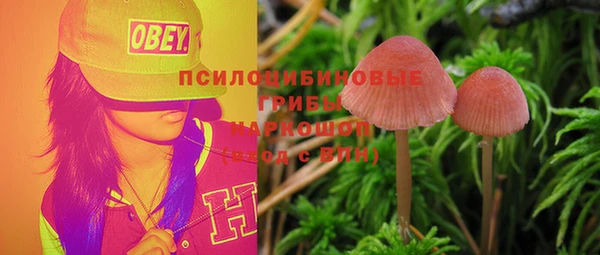ALPHA PVP Новодвинск