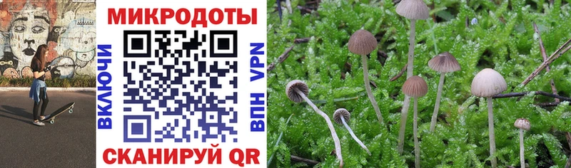 Псилоцибиновые грибы прущие грибы  Купить где  Оренбург 